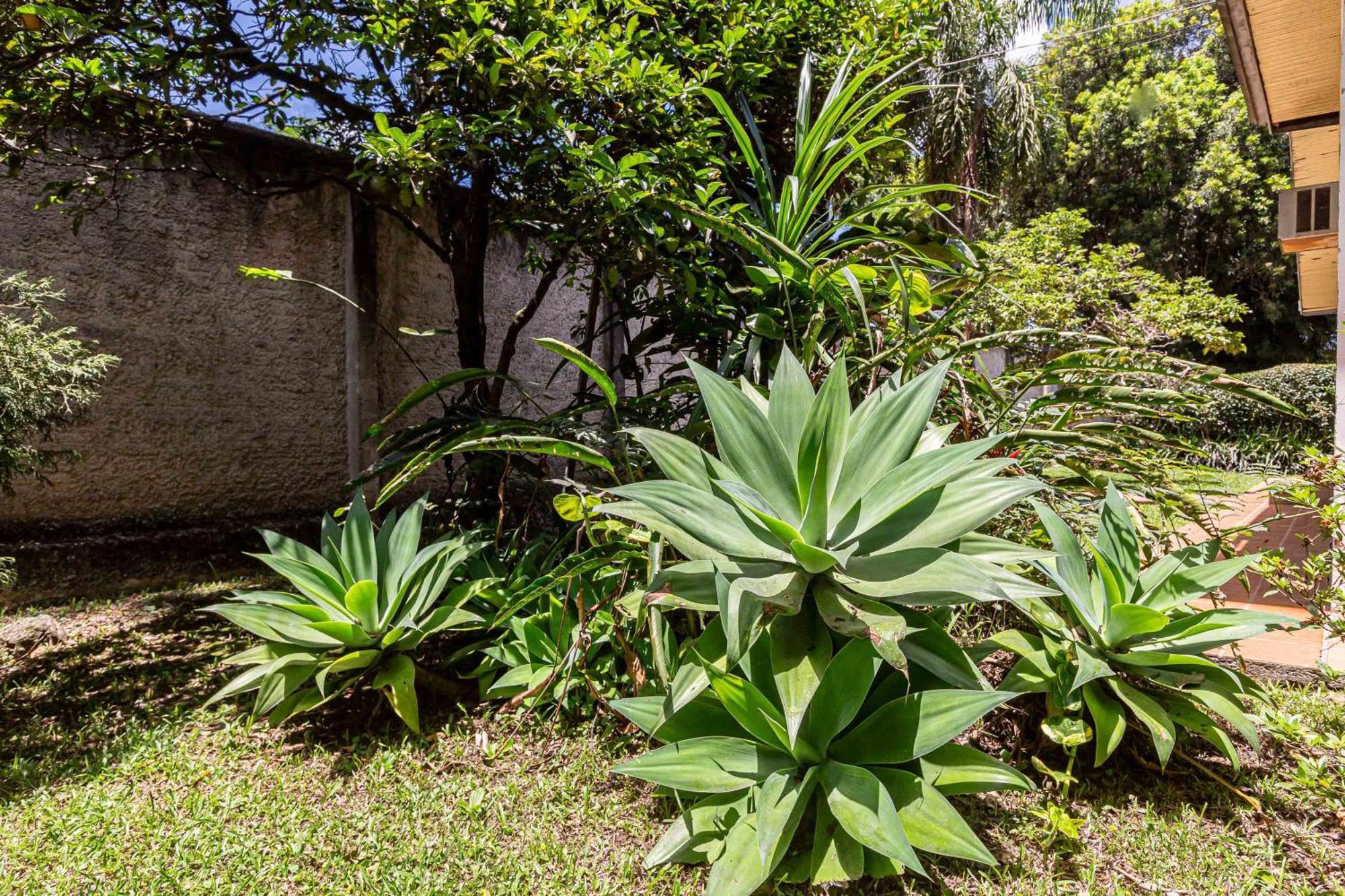 Memora Guesthouse Curitiba - Quartos Em Casa Proximo Ao Parque Bacacheri Exteriér fotografie